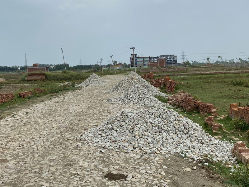 Other Image