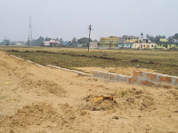  Agricultural Land for Sale in Trisulia, Cuttack