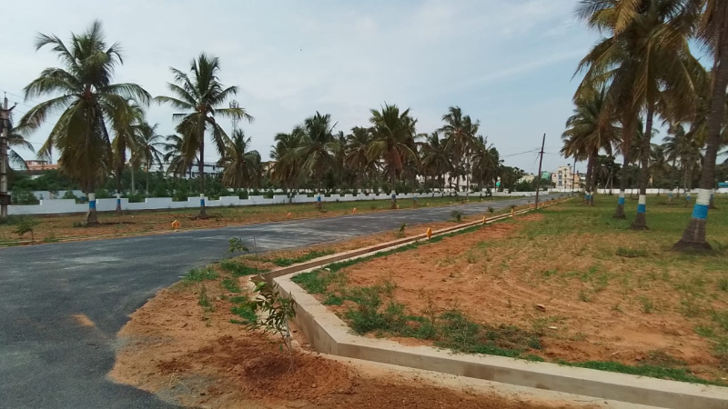  Residential Plot 267 Sq. Yards for Sale in Bhogapuram, Visakhapatnam