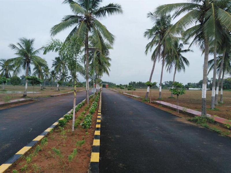  Residential Plot 100 Sq. Yards for Sale in Nellimaria, Vizianagaram