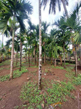 Agricultural Land for Sale in Murud, Raigad