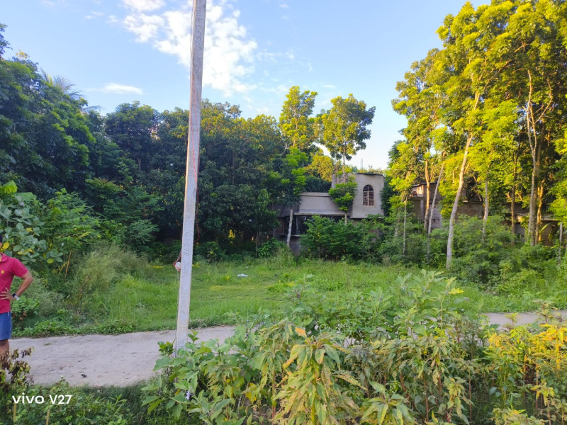  Residential Plot 3526 Sq.ft. for Sale in Payradanga, Nadia