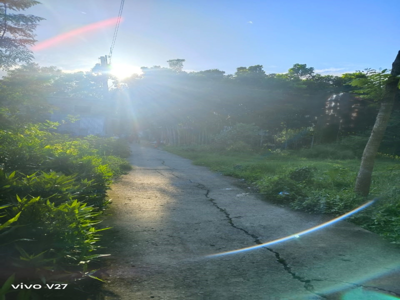  Residential Plot 3526 Sq.ft. for Sale in Payradanga, Nadia