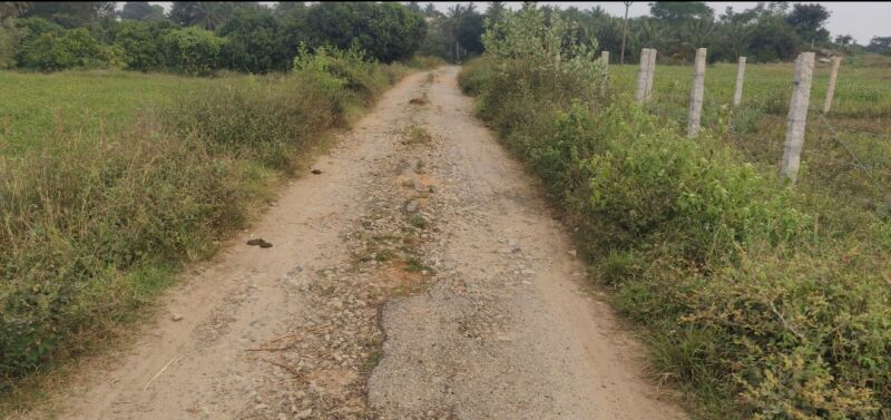  Agricultural Land 35 Cent for Sale in Thalli, Hosur