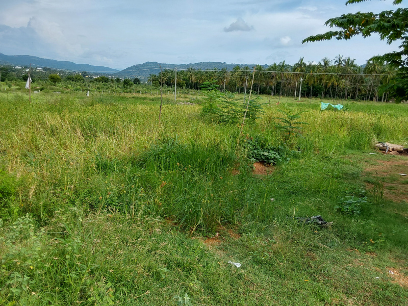  Agricultural Land 4 Acre for Sale in Ramanagara, Bangalore