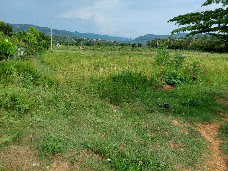  Agricultural Land 4 Acre for Sale in Ramanagara, Bangalore