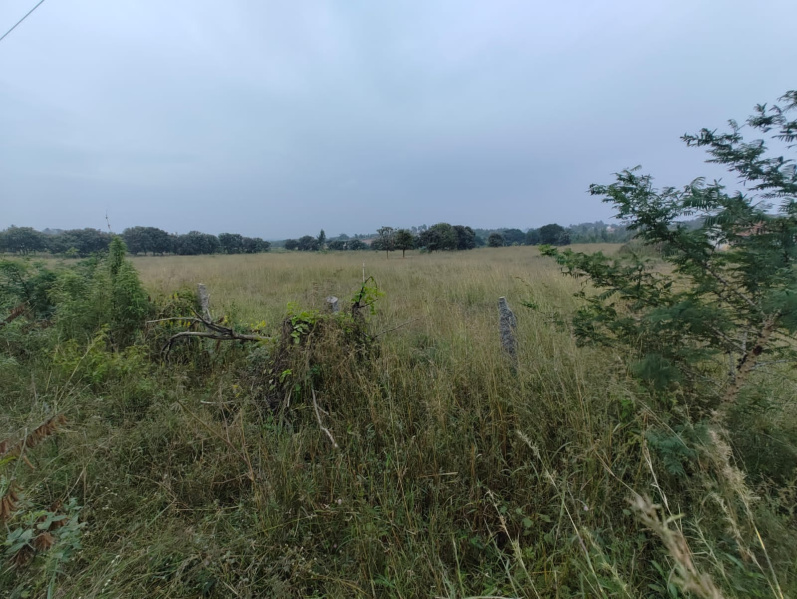  7 Acre Industrial Land for Sale in Begapalli, Hosur