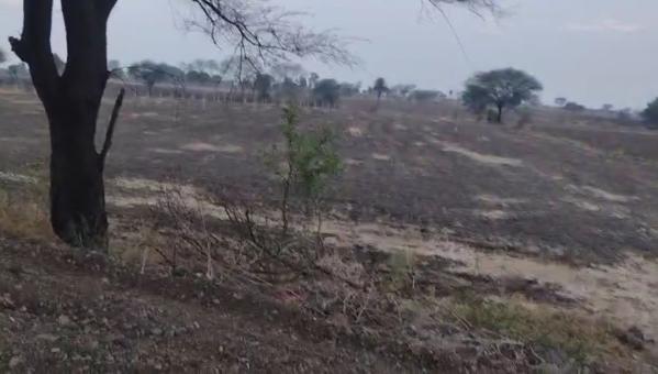 Agricultural Land 2 Acre for Sale in Barkhedi Kalan, Bhopal
