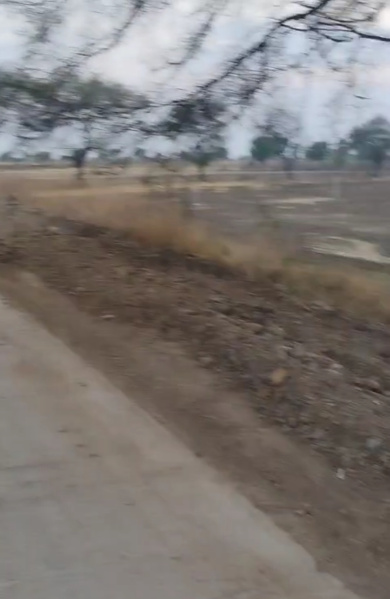  Agricultural Land 2 Acre for Sale in Barkhedi Kalan, Bhopal