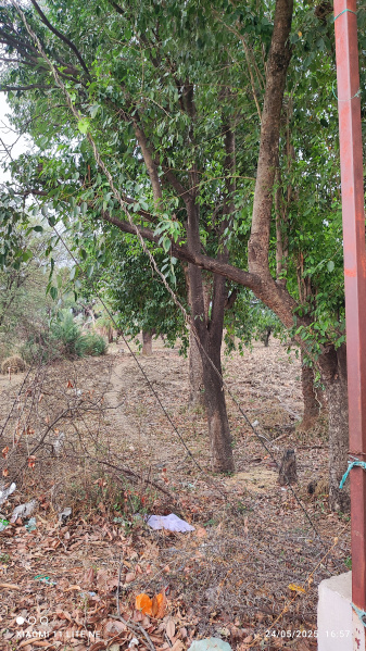  Agricultural Land 3 Acre for Sale in Acharpura, Bhopal