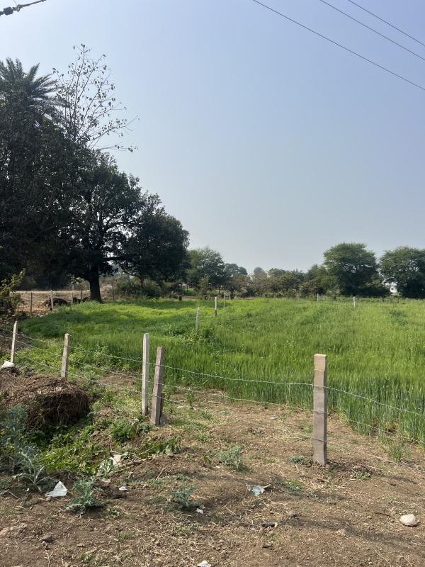 6000 Sq.ft. Residential Plot for Sale in Acharpura, Bhopal