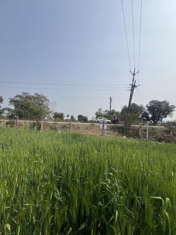  6000 Sq.ft. Residential Plot for Sale in Acharpura, Bhopal