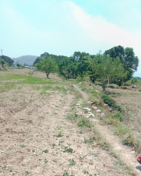 Agricultural Land for Sale in Ramnagar, Nainital