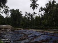  Agricultural Land for Sale in Sulya, Dakshin Kannad