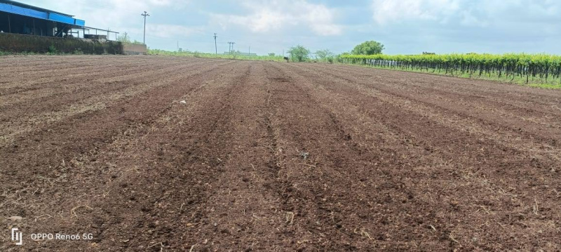  Agricultural Land 60000 Sq.ft. for Sale in Dindori, Nashik