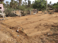 Residential Plot for Sale in Udangudi, Thoothukudi
