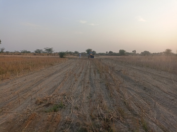  Agricultural Land for Sale in Mozamabad, Jaipur