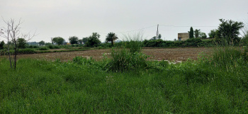  Agricultural Land for Sale in Sainthia, Birbhum