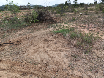  Agricultural Land for Sale in Palasamudram, Anantapur