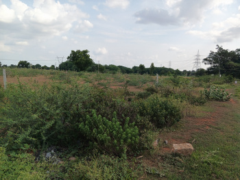  Agricultural Land for Sale in Somandepalli, Anantapur