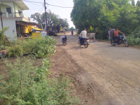 Commercial Land for Sale in Raipur Karchuliyan, Rewa
