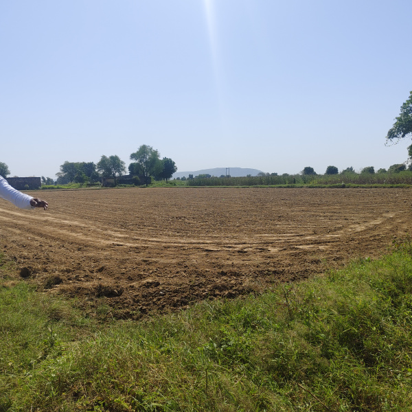  Agricultural Land 6 Bigha for Sale in Naugaon, Alwar