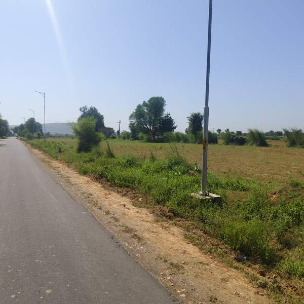  Agricultural Land 9 Bigha for Sale in Reni, Alwar