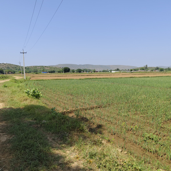  Agricultural Land 50 Bigha for Sale in Ramgarh, Alwar