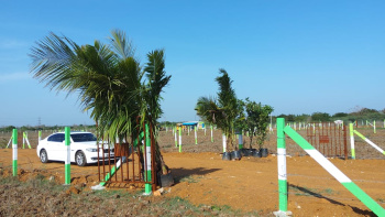  Agricultural Land for Sale in Ellapuram, Thiruvallur