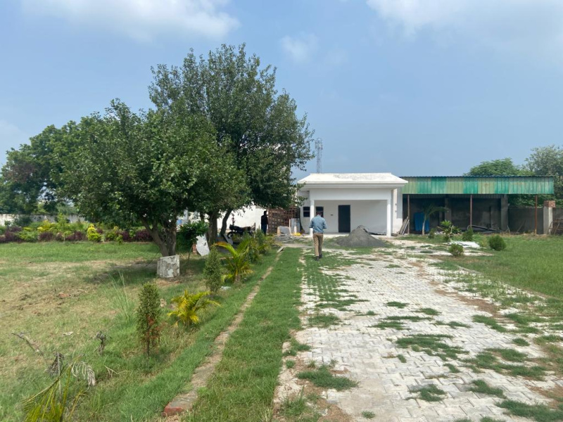  Residential Plot 450 Sq.ft. for Sale in Yamuna Expressway, Yamuna Expressway, Greater Noida