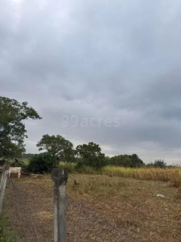  Agricultural Land for Sale in Appanaickenpalayam, Coimbatore