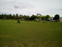 Agricultural Land for Sale in Annur, Coimbatore