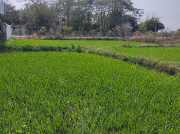  Agricultural Land for Sale in Khawasa, Seoni