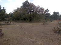  Agricultural Land for Sale in Khawasa, Seoni