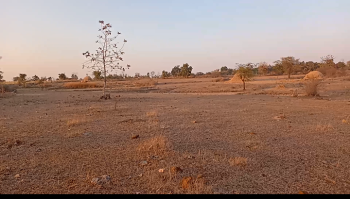 Agricultural Land for Sale in Khawasa, Seoni