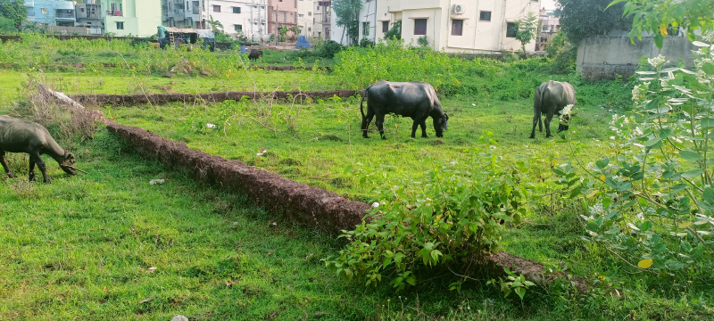  Residential Plot 3500 Sq.ft. for Sale in Khandagiri, Bhubaneswar