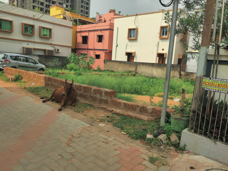  1500 Sq.ft. Residential Plot for Sale in Patrapada, Bhubaneswar