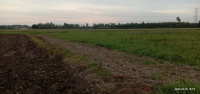  Agricultural Land for Sale in Tanda, Hoshiarpur