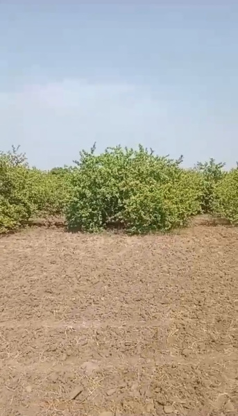  70 Sq. Yards Residential Plot for Sale in Najafgarh, Delhi