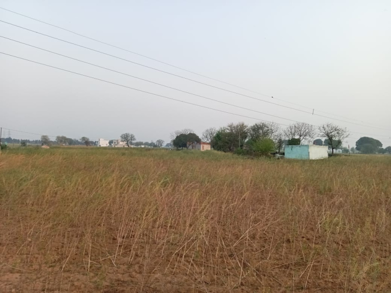  100 Sq. Yards Residential Plot for Sale in Roshanpura, Najafgarh, Delhi
