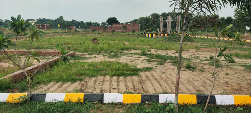  50 Sq. Yards Residential Plot for Sale in Najafgarh, Delhi