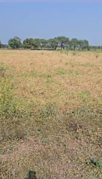  196 Sq. Yards Residential Plot for Sale in Sector 47 Gurgaon