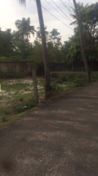  Residential Plot for Sale in Cherthala, Alappuzha