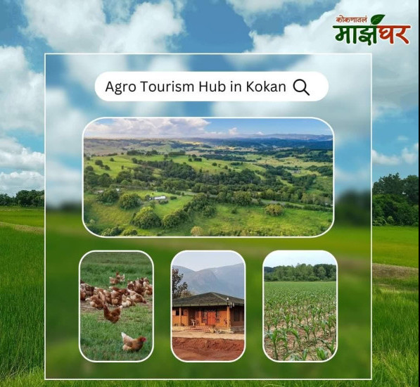  Agricultural Land 1 Acre for Sale in Shrivardhan, Raigad