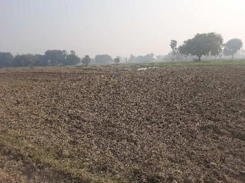  Agricultural Land for Sale in Zamania, Ghazipur