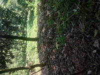  Residential Plot for Sale in Manjeri, Malappuram