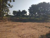 Agricultural Land for Sale in Hoskote Malur Road, Bangalore