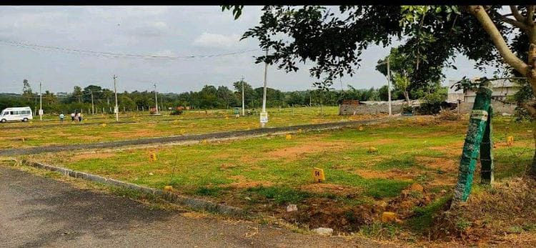  Residential Plot 600 Sq.ft. for Sale in Anekal, Bangalore