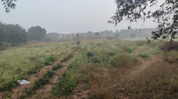 Agricultural Land for Sale in Keesara, Hyderabad