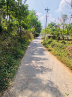  Residential Plot for Sale in Panamaram, Wayanad